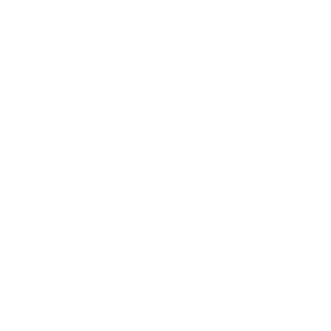 Logo 100H formación